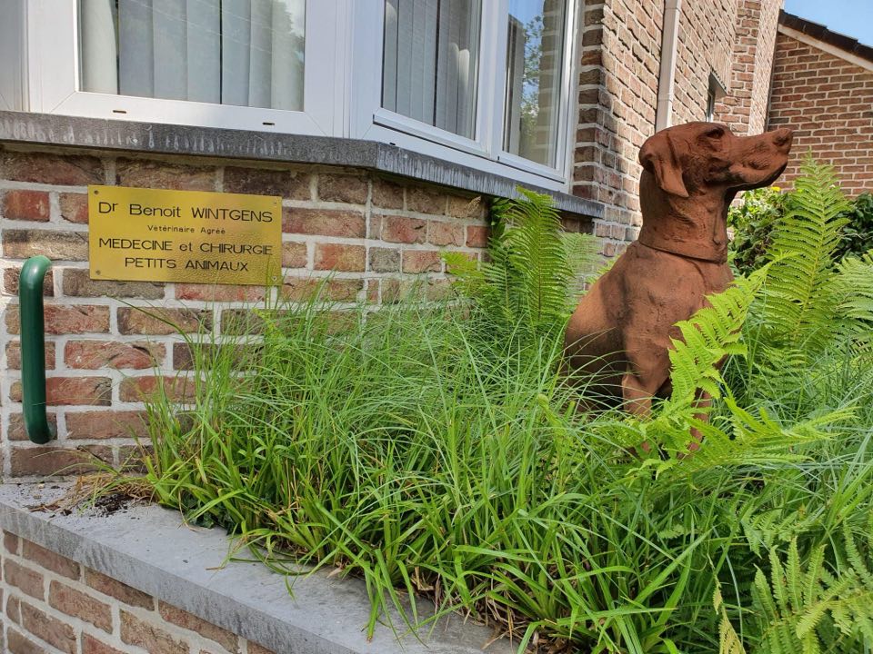 Vétérinaire Benoît Wintgens
